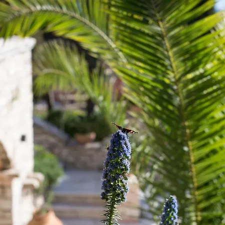 Villa Paleopetres La Chataigne - Private Pool - Sea Views - Corfu Town - Kastania (Corfu)